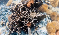 Những trải nghiệm dù đến Phú Quốc nhiều lần vẫn thèm 