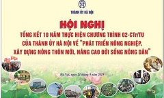 Sinh Vật Cảnh với Tổng kết 10 năm xây dựng Nông thôn mới và kỷ niệm 60 năm ngày Bác Hồ phát động Tết Trồng cây