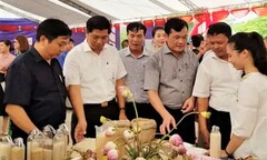 Kết nối tiêu thụ nông sản thực phẩm và ứng dụng chuyển giao tiến bộ kỹ thuật trên địa bàn Hà Nội