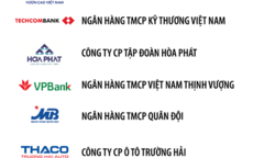 Techcombank là ngân hàng duy nhất có mặt trong top 3 doanh nghiệp tư nhân có lợi nhuận tốt nhất năm 2019 