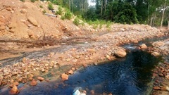 Nghệ An: Doanh nghiệp trồng rừng Lê Duy Nguyên tùy tiện xả thải gây ô nhiễm môi trường?