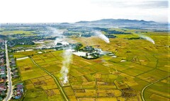 Thực trạng phát triển HTX nông nghiệp ở vùng đồng bằng sông Hồng