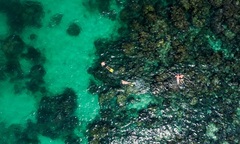 5 năm tới, dòng khách quốc tế sẽ “chảy mạnh” về Phú Quốc 