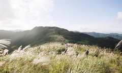 5 địa điểm với khung cảnh mùa thu không khác gì trong phim ở Đài Loan 