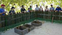 Việt Nam đang vượt lên trên cuộc đua phát triển du lịch xanh 