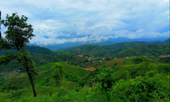 Thanh Mộc Hương – Thương hiệu nhân văn vì cộng đồng 