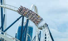 Bức họa Quảng Ninh & chân dung  "người kiến tạo xu thế” 