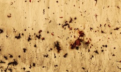 “Tỏa 3” – cuộc thử nghiệm táo bạo của nghệ thuật đương đại