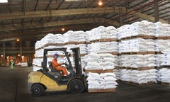 Năm 2019, PVFCCo cung ứng gần 1 triệu tấn phân bón hóa chất 