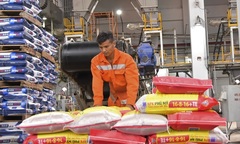 DPM lên kế hoạch lợi nhuận năm 2020 là 513 tỷ đồng 