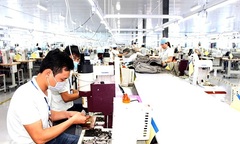 Trình trạng vi phạm pháp luật BHXH, BHYT, BHTN ngày càng phức tạp 