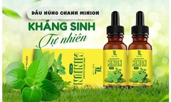 Tăng sức đề kháng cho cơ thể bằng dầu húng chanh