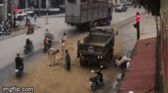 Nghệ An: CSGT ngăn dầu loang giữa quốc lộ, tránh tai nạn