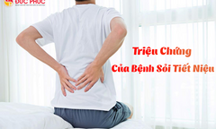 Đau thận là đau ở đâu?