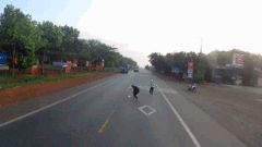 Video: 2 cô gái rơi tiền trên đường và hành động đẹp của tài xế ô tô