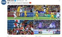 Tin tức thể thao mới nóng nhất ngày 6/6/2020: Truyền thông quốc tế đưa tin về khán đài  "ngập " CĐV của V-League