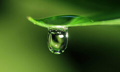 Đời vô thường