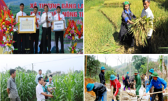 Thành phố Yên Bái “vươn  mình” mạnh mẽ phấn đấu  hoàn thành nhiệm vụ xây dựng nông  thôn mới trong năm 2020 