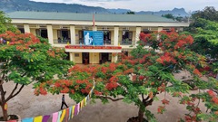 Cao Phong -Hòa Bình: Đầu tư xây dựng cơ sở hạ tầng, phát triển giao thông nông thôn tạo động lực thúc đẩy phát triển kinh tế 