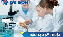 Những lưu ý quan trọng về bệnh Hemophilia