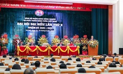 Đại hội đại biểu Đảng bộ Agribank lần thứ X, nhiệm kỳ 2020 – 2025 thành công tốt đẹp 