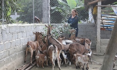 Agribank cùng ngành Ngân hàng hiện thực hóa Chiến lược tài chính toàn diện quốc gia