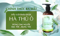 Các loại thảo dược nào thường có trong dầu gội? Vì sao nên dùng dầu gội thảo dược?