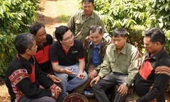 NESCAFÉ Plan: Tự hào 10 năm phát triển cà phê bền vững