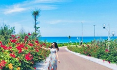 “Du hí” Quy Nhơn: nhất định phải check-in con đường hoa ven biển vạn người mê