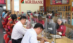 Agribank – TOP3 Doanh nghiệp nộp thuế lớn nhất Việt Nam năm 2019 