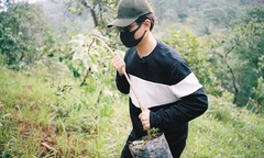 Hà Anh Tuấn phủ xanh đồi trọc với gần 2.000 cây rừng để hỗ trợ chống lũ