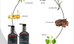 Hair Queen – Sản phẩm dầu gội tuyệt vời dành cho mẹ bầu sau sinh