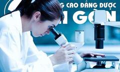 Cùng Bác sĩ Dược Sài Gòn tìm hiểu về các loại nhóm máu ở người