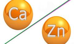 Bác sĩ Dược Sài Gòn nói về những lưu ý khi bổ sung kẽm và canxi cho trẻ