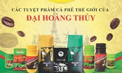 Tập đoàn Đại Hoàng Thủy: Mang đến những gì tốt nhất cho khách hàng