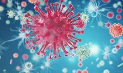 Cùng Bác sĩ Dược Sài Gòn tìm hiểu về vai trò của kháng thể đối với cơ thể