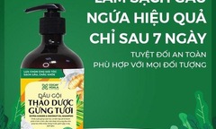 1001 điều cần lưu ý khi chăm sóc tóc gàu