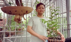 Nguyễn Đăng Ghin khởi nghiệp thành công từ nghề trồng lan
