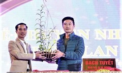 Độc đáo vườn lan tiền tỷ trên sân thượng