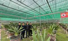 Doanh nhân Ngô Gia Bình: Thị trường hoa lan có nhiều lợi thế để phát triển