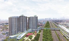 Thuốc nào cho cơn sốt giá mang tên Thủ Đức? 