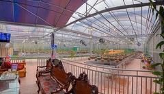 Trồng vườn lan 1000 cây, trai đẹp đất mỏ trở thành nghệ nhân trồng lan ở tuổi 24