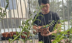 Doãn Chinh và hành trình theo đuổi hoa lan đầy thú vị