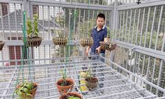 Chàng trai 9X gốc Hà Nam và tình yêu lớn dành cho loài hoa lan