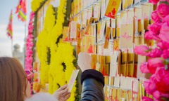 Giới trẻ nô nức du xuân, lên đỉnh Fansipan 