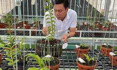 Nghệ nhân Hồng Quân: Từ bỏ “người tình” 20 năm để bén duyên cùng hoa lan 