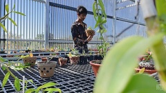 Cường Khuê Các: Chàng trai yêu nhiếp ảnh trở thành chủ vườn lan giá trị