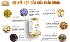 Thảo dược viên sủi ICHI loại đờm hết ho, không lo mất ngủ