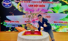 Ông chủ vườn lan 9X Trần Hồ Quang chia sẻ cơ duyên, được quý nhân giúp đỡ