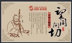 Thầy thuốc chia sẻ công dụng của dược liệu đông y thảo quyết minh